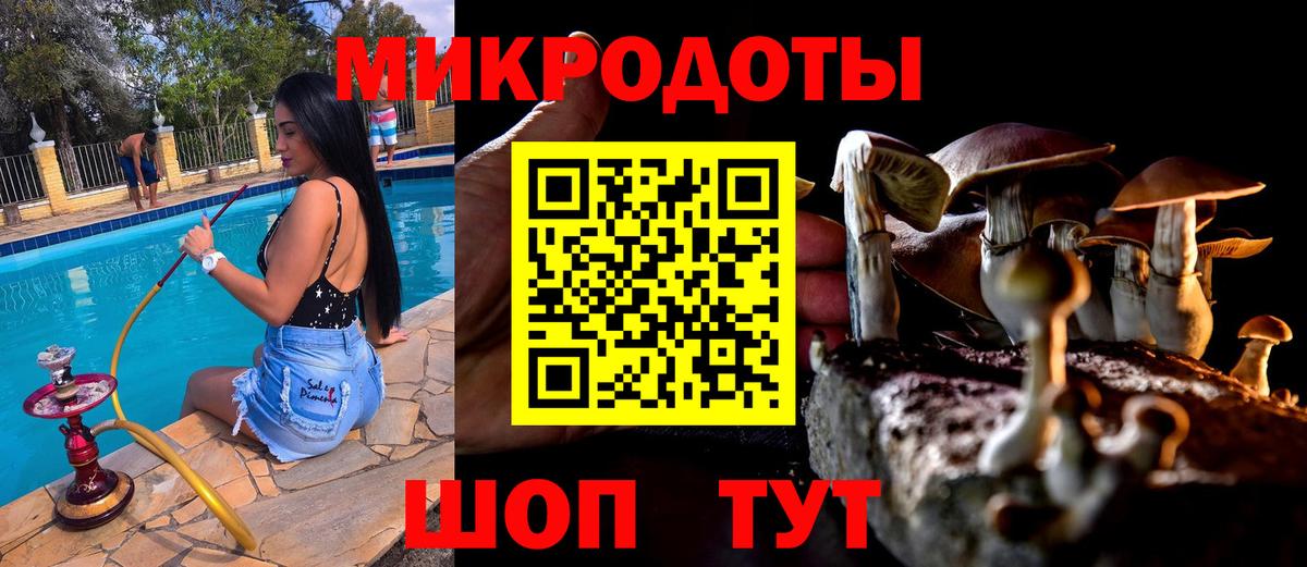 Галлюциногенные грибы ЛСД Кисловодск