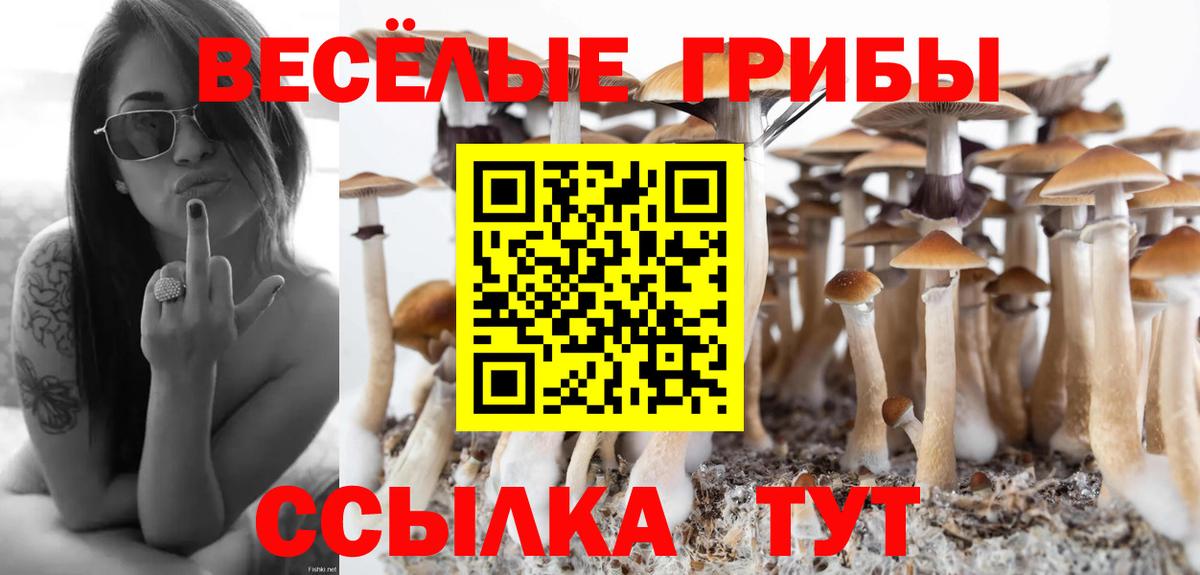 Кисловодск  Псилоцибиновые грибы Magic Shrooms  Вход с VPN 