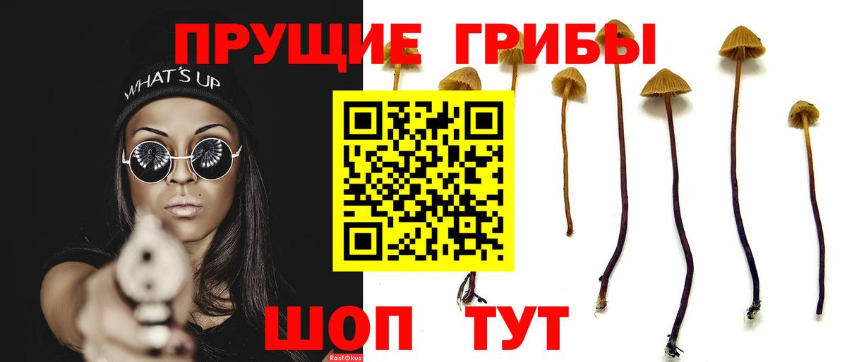 Гашиш Кисловодск