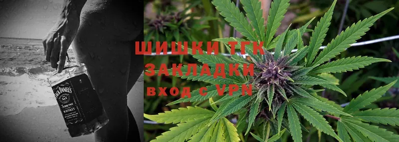 Каннабис SATIVA & INDICA  Кисловодск 